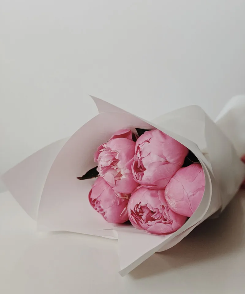 白い紙で包んだ芍薬の花束